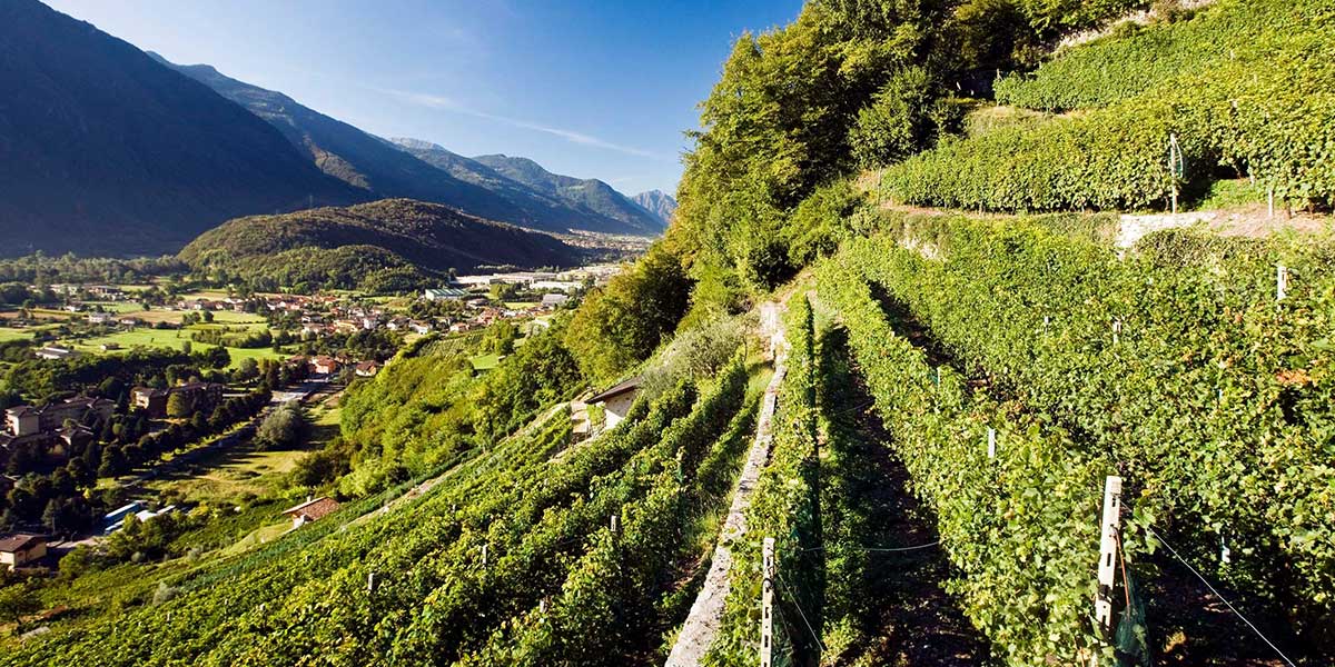 Adamello il legame con il territorio