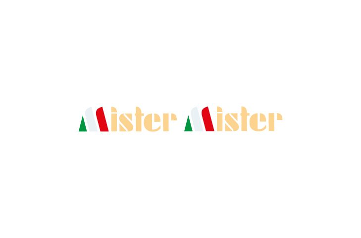 Servizi mister mister